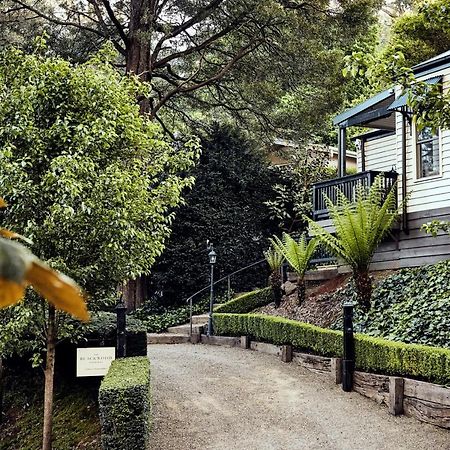 The Blackwood Sassafras ภายนอก รูปภาพ