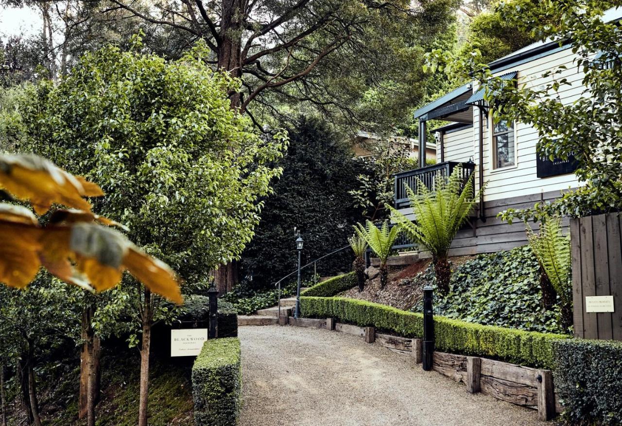 The Blackwood Sassafras ภายนอก รูปภาพ